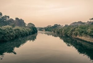 Narayani River embankment along a tree lined river bank in Nepal